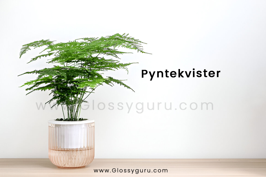 Pyntekvister: A Complete Guide to Nature-Inspired Decorative Accents